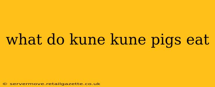what do kune kune pigs eat