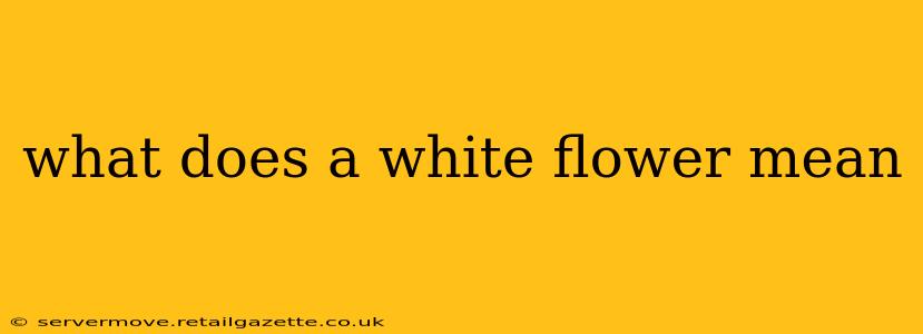 what does a white flower mean