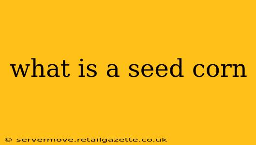 what is a seed corn
