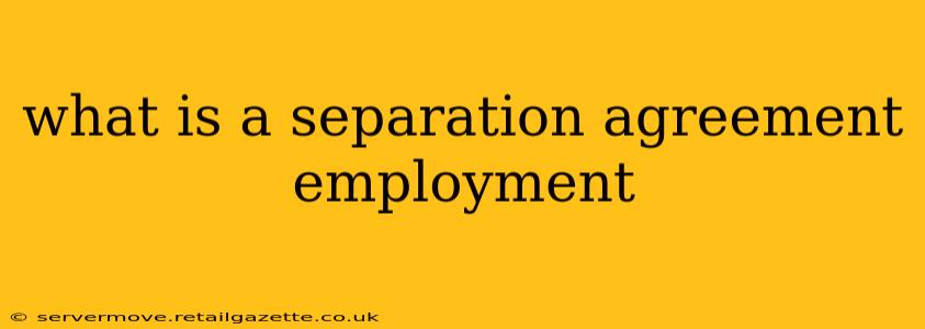 what is a separation agreement employment