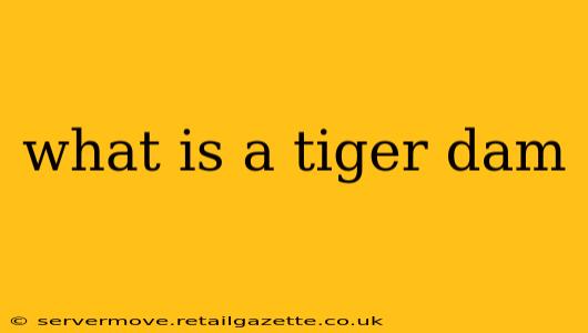 what is a tiger dam