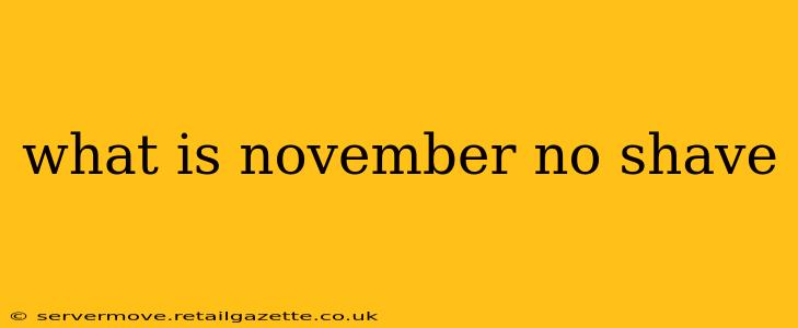 what is november no shave