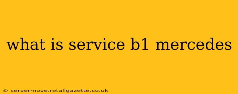 what is service b1 mercedes