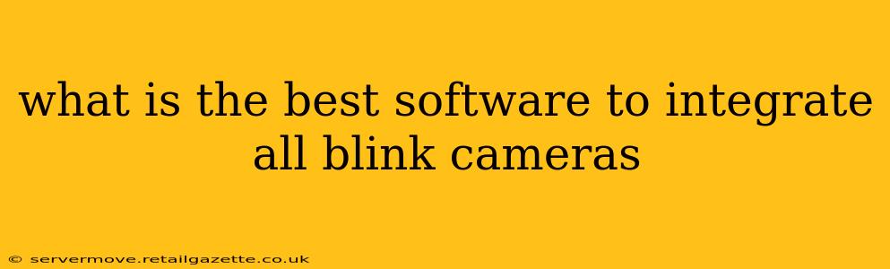 what is the best software to integrate all blink cameras