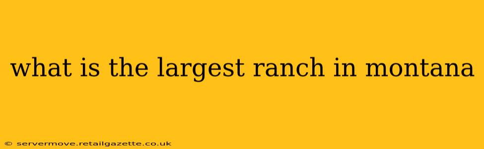 what is the largest ranch in montana