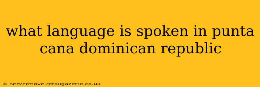 what language is spoken in punta cana dominican republic