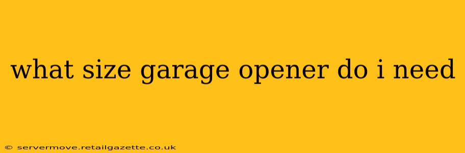 what size garage opener do i need