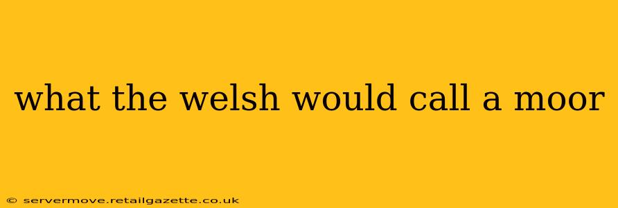 what the welsh would call a moor