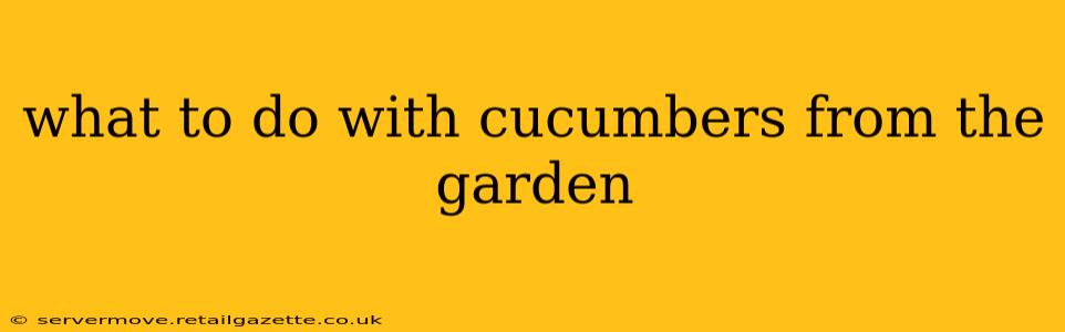 what to do with cucumbers from the garden