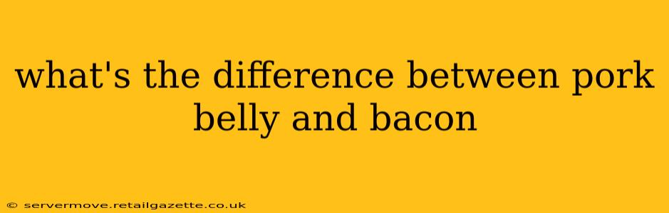 what's the difference between pork belly and bacon