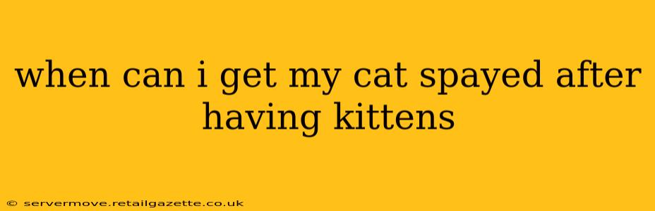 when can i get my cat spayed after having kittens