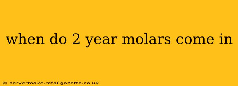 when do 2 year molars come in