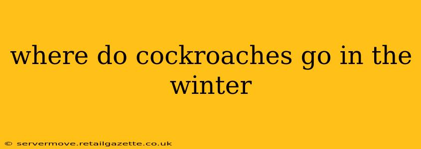 where do cockroaches go in the winter