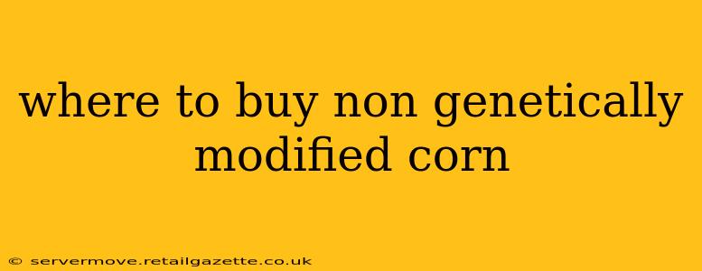 where to buy non genetically modified corn