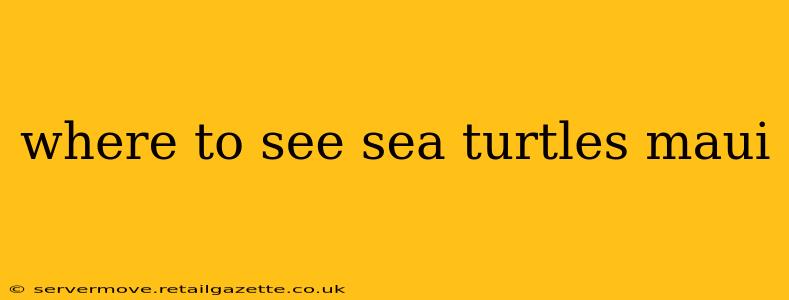 where to see sea turtles maui