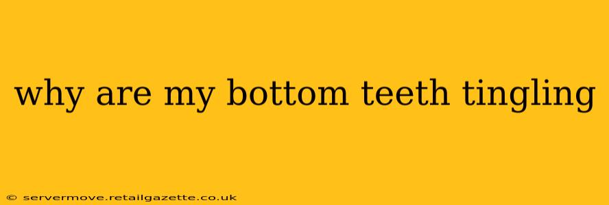 why are my bottom teeth tingling