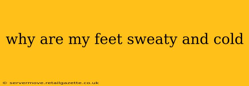 why are my feet sweaty and cold