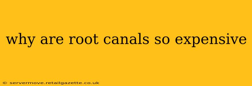 why are root canals so expensive