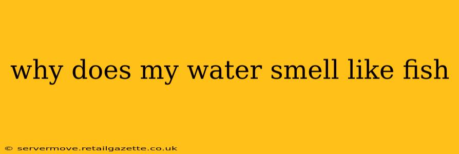 why does my water smell like fish