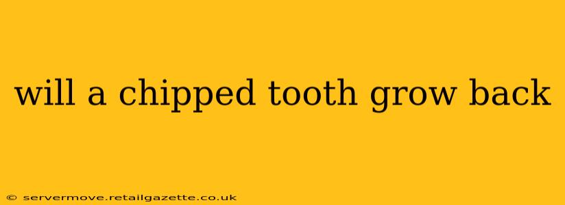 will a chipped tooth grow back