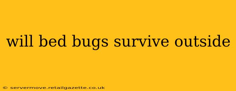 will bed bugs survive outside