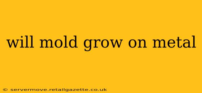 will mold grow on metal