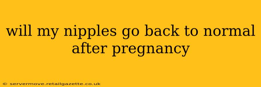 will my nipples go back to normal after pregnancy