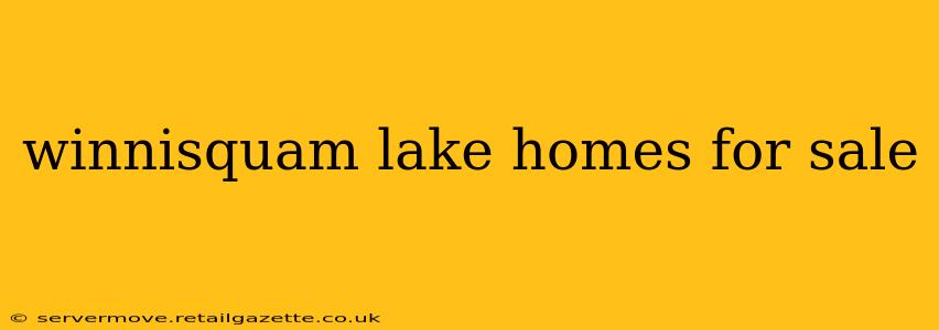 winnisquam lake homes for sale