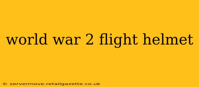 world war 2 flight helmet